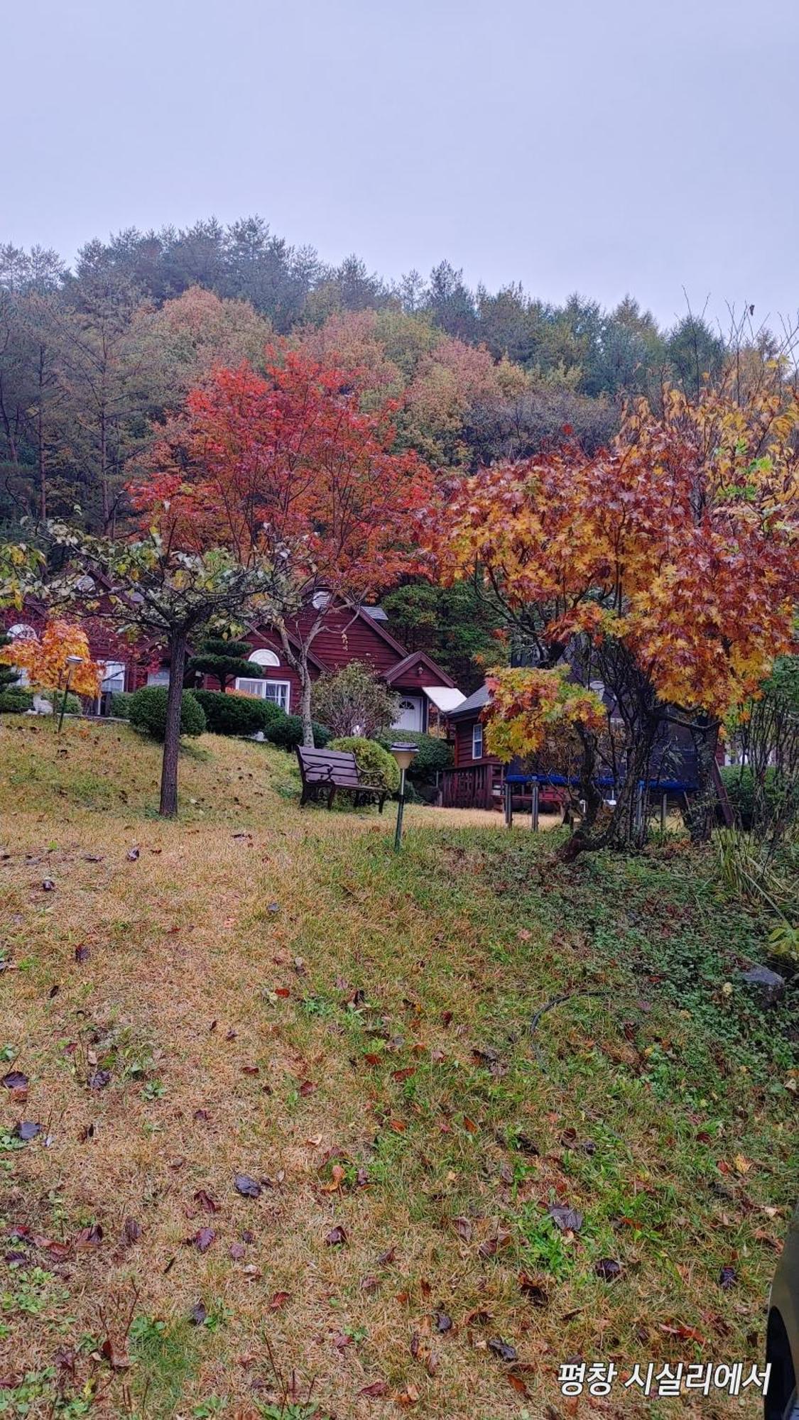 Sisilli Pension พยองซาง ภายนอก รูปภาพ