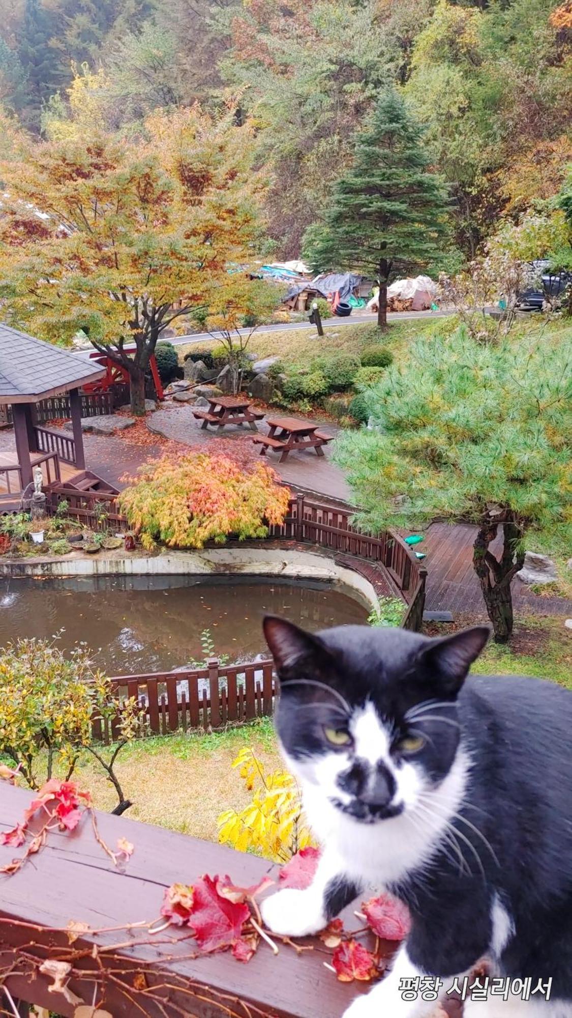 Sisilli Pension พยองซาง ภายนอก รูปภาพ