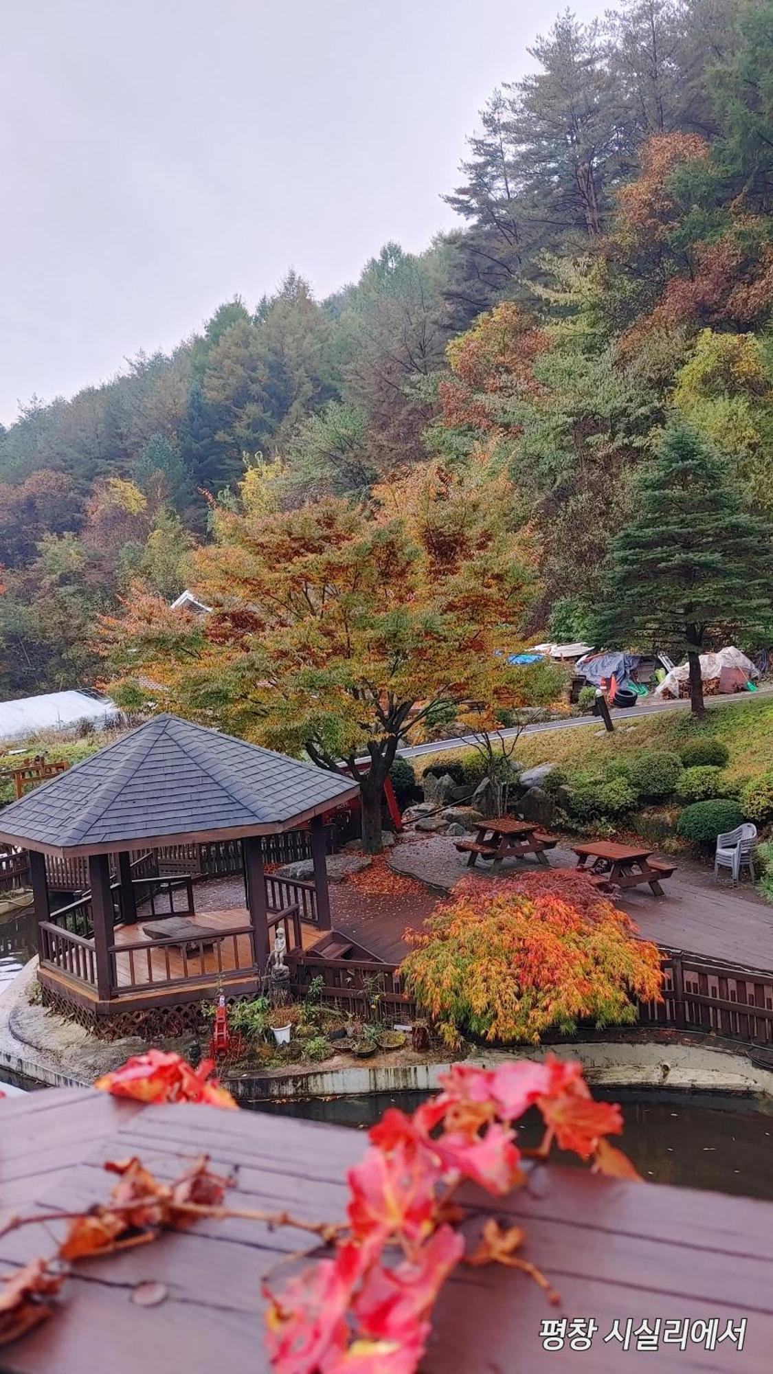 Sisilli Pension พยองซาง ภายนอก รูปภาพ